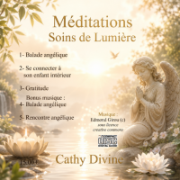 CD de Méditation ou Clé USB : Soins de Lumière 